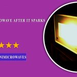 Can I Use My Microwave After It Sparks